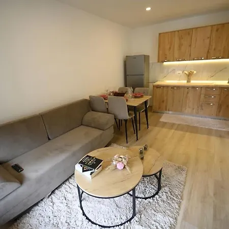 Apartment Nika