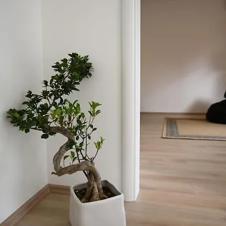 Apartment Nika Shkoder