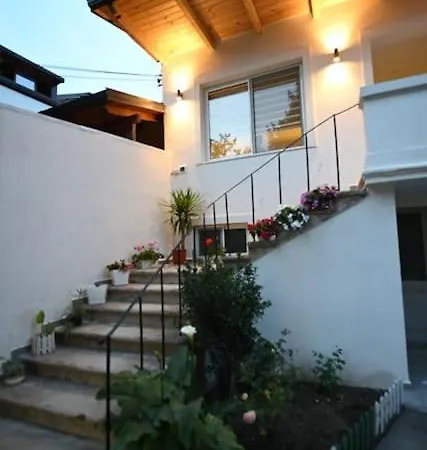 Nika * Shkoder